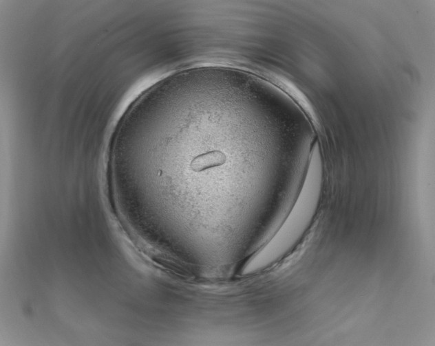 X0000112111146200908041536