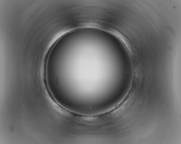 X0000112111147200908041536