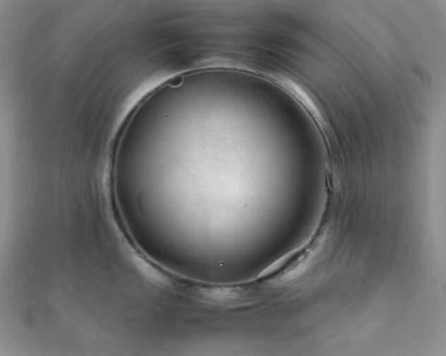 X0000112111149200908041536