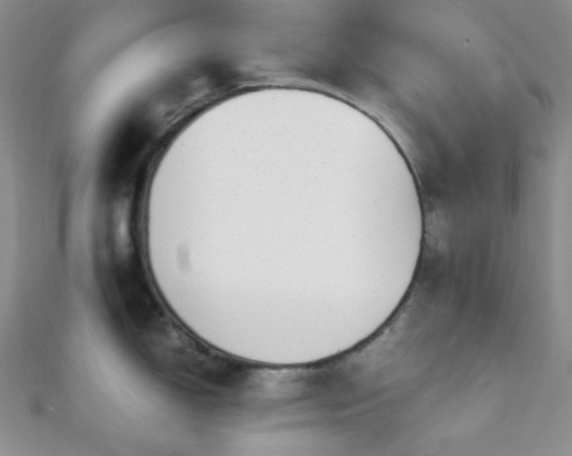 X0000112111150200908041536