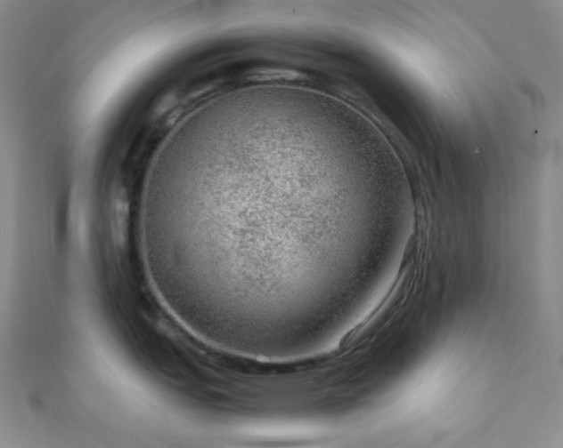 X0000112111151200908041536