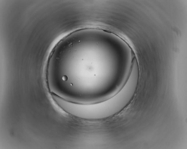 X0000112111152200908041536