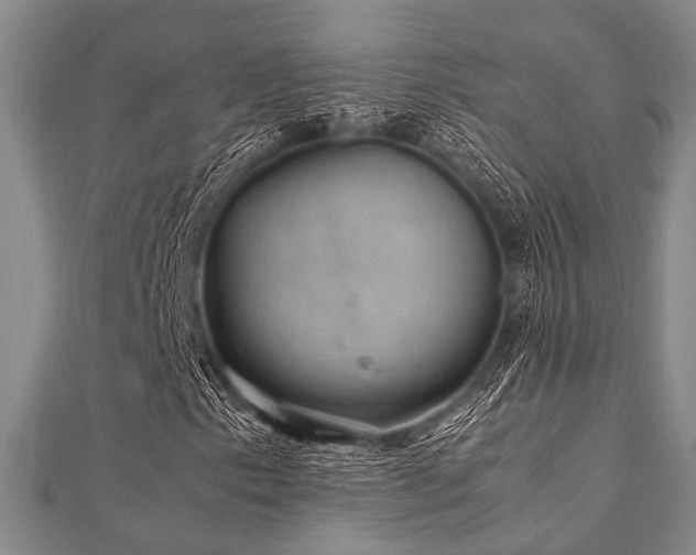 X0000112111153200908041535