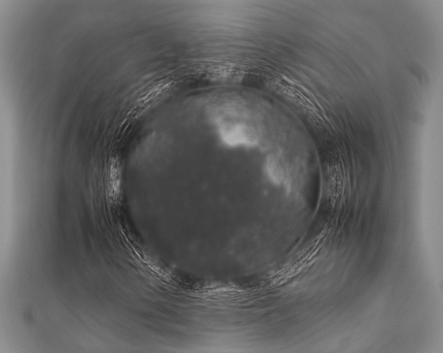 X0000112111154200908041535