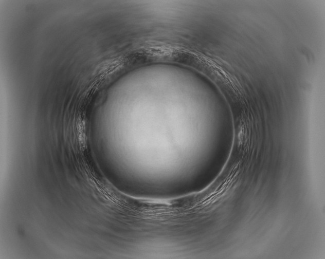 X0000112111156200908041535