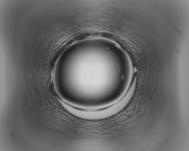 X0000112111157200908041535