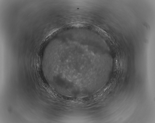 X0000112111158200908041535