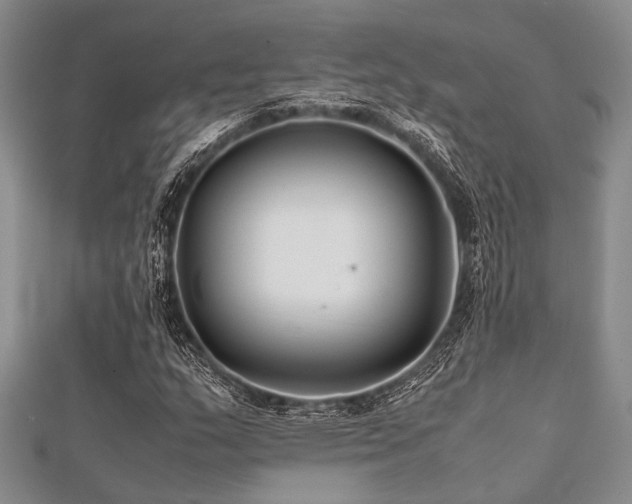 X0000112111159200908041535