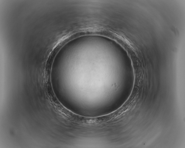 X0000112111160200908041535