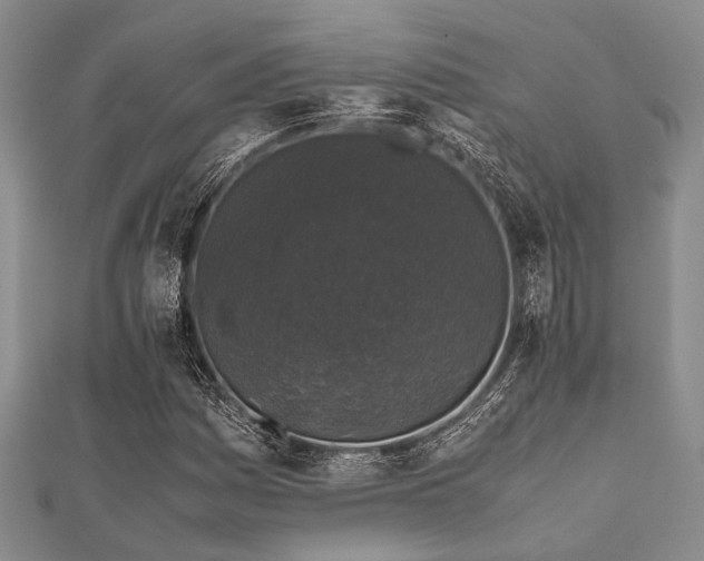 X0000112111161200908041535