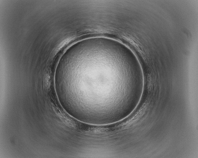 X0000112111163200908041535