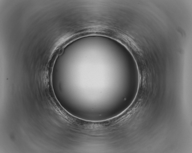 X0000112111164200908041535