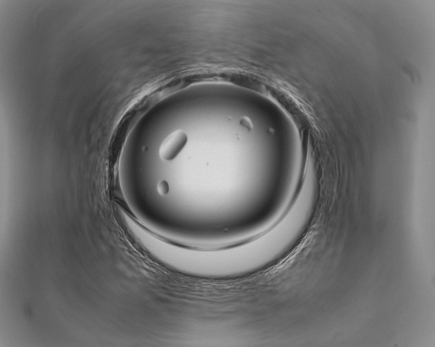 X0000112111165200908041535