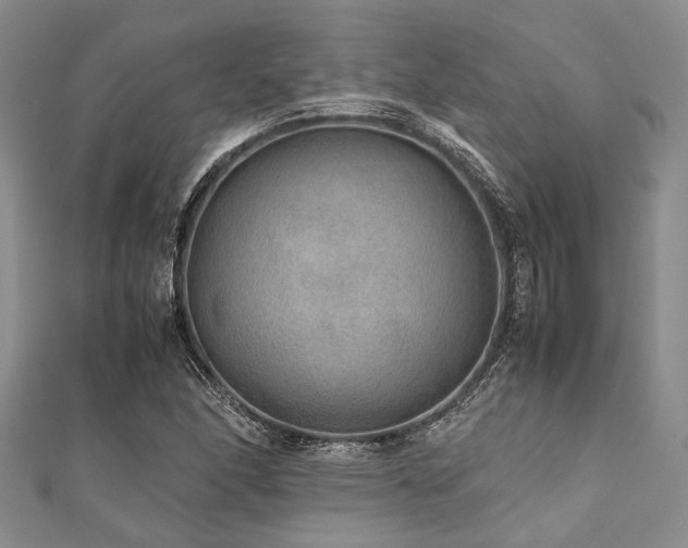 X0000112111166200908041535