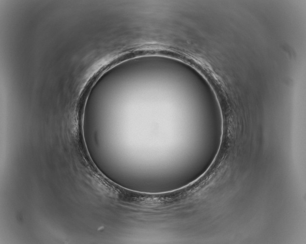 X0000112111167200908041535