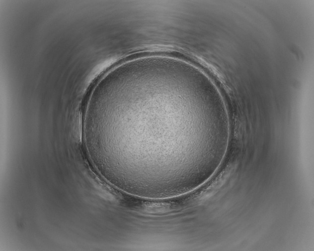 X0000112111171200908041535