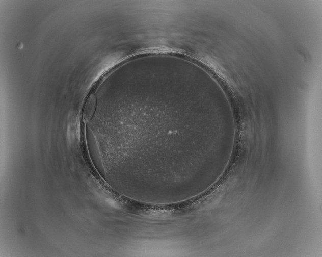 X0000112111173200908041535