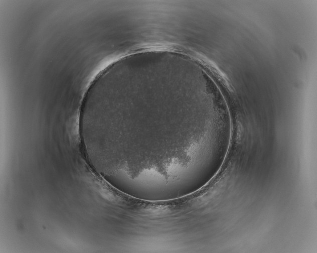 X0000112111174200908041535