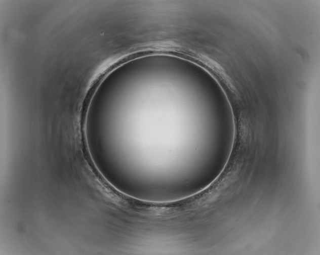 X0000112111176200908041535