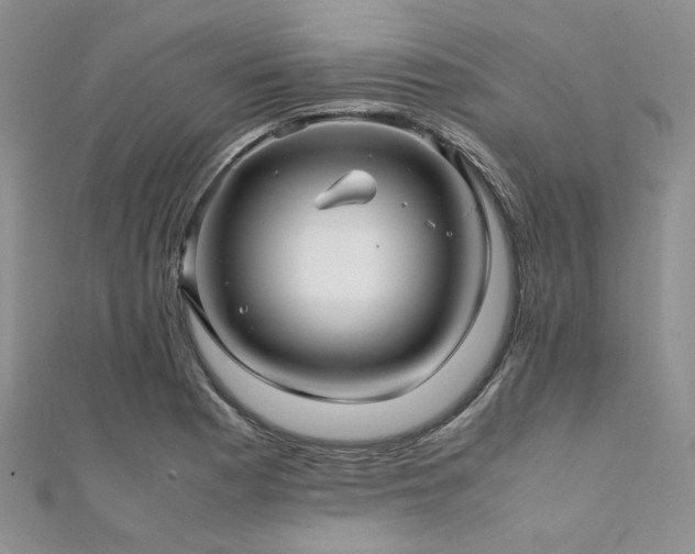 X0000112111177200908041535