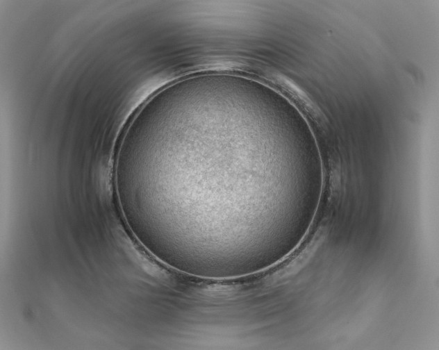 X0000112111178200908041535