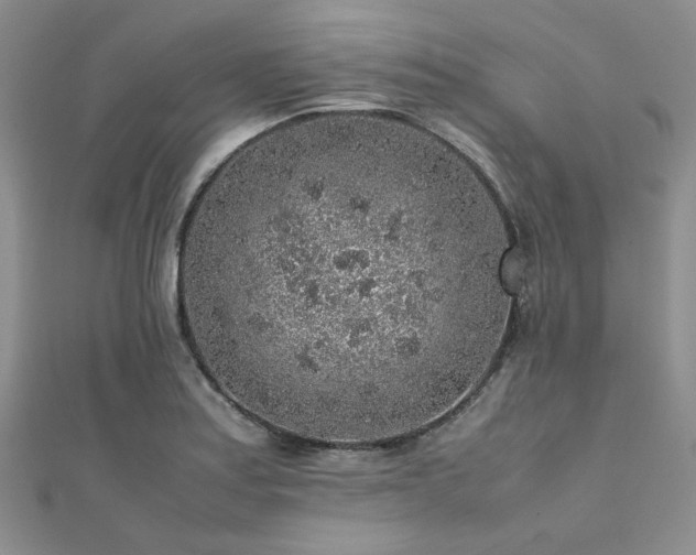 X0000112111179200908041535