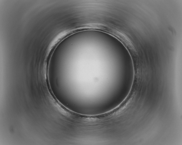 X0000112111180200908041535