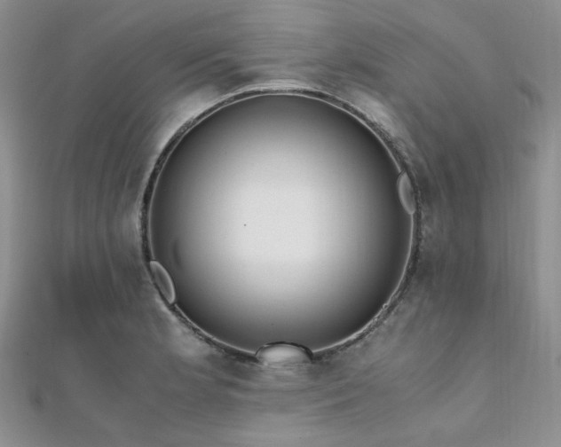 X0000112111181200908041535