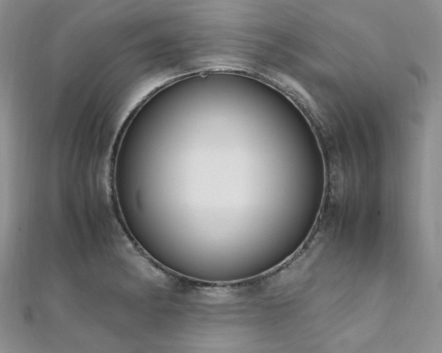 X0000112111182200908041535