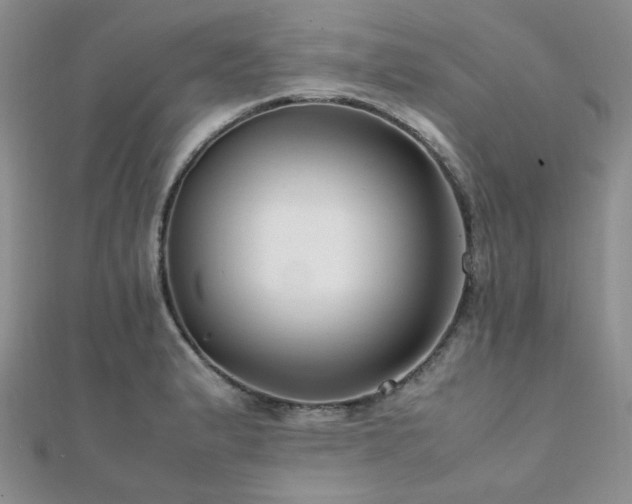 X0000112111183200908041535