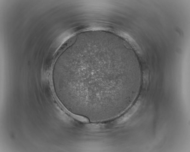 X0000112111185200908041535