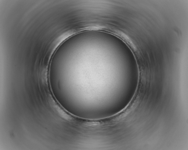 X0000112111186200908041535