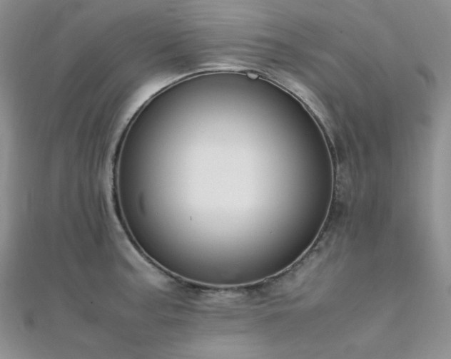 X0000112111187200908041535