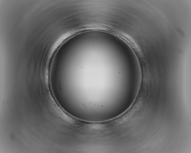 X0000112111188200908041535