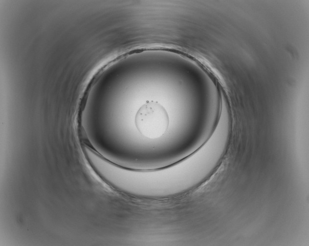 X0000112111189200908041535