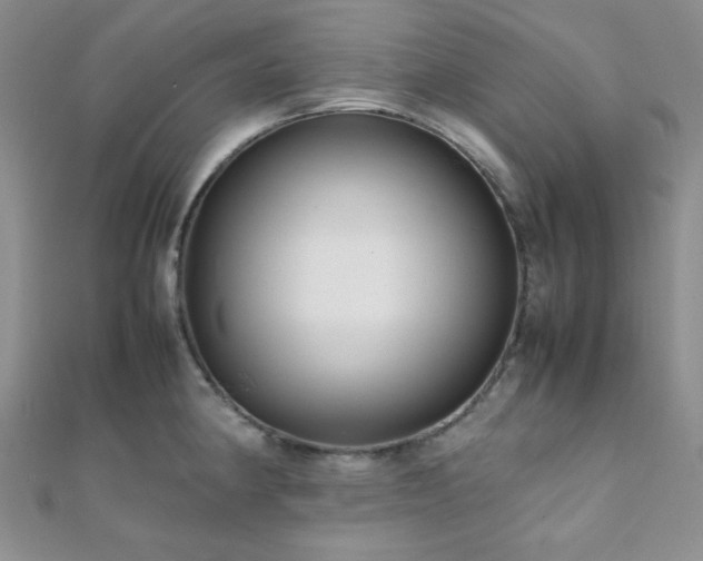 X0000112111190200908041535