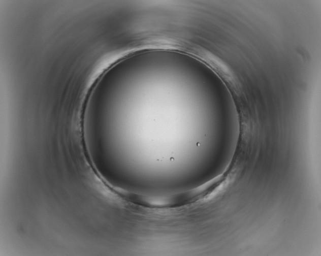 X0000112111192200908041535