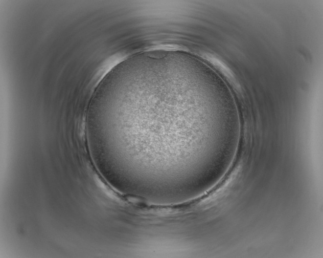 X0000112111193200908041535