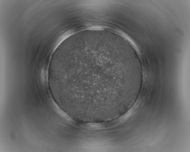 X0000112111194200908041535