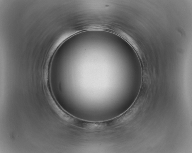 X0000112111195200908041535