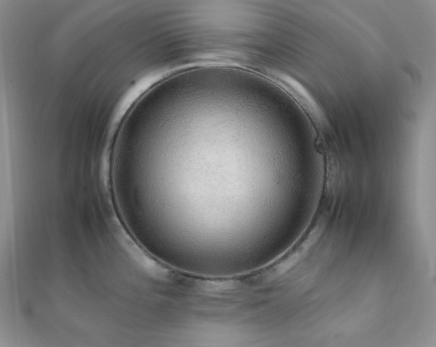 X0000112111196200908041535