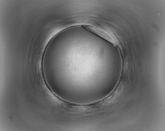 X0000112111197200908041535