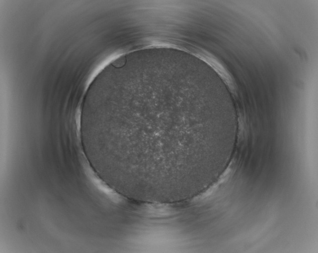 X0000112111198200908041535