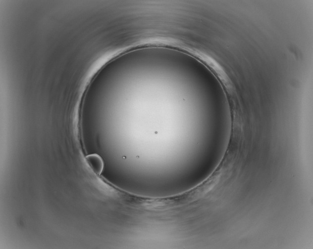 X0000112111199200908041535