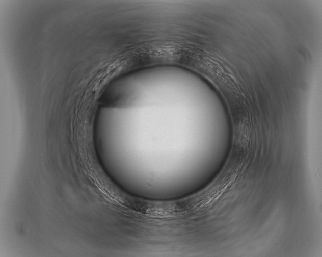 X0000112111201200908041534