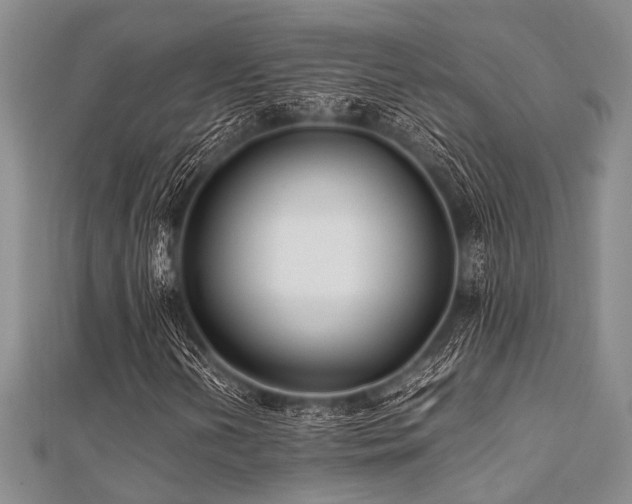 X0000112111202200908041534