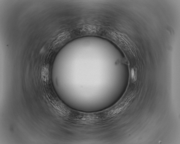 X0000112111203200908041534