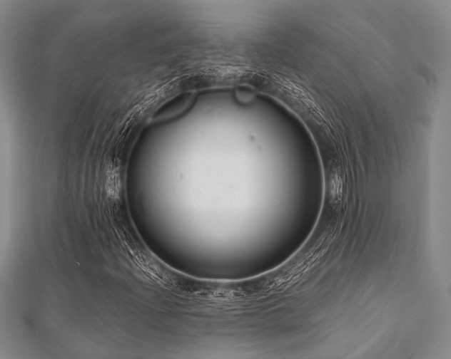 X0000112111204200908041534