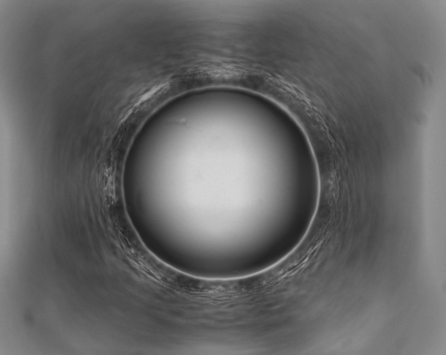 X0000112111205200908041534