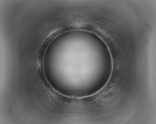 X0000112111206200908041534